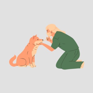 Pet Care